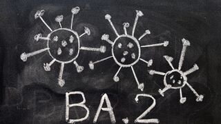 Omicron BA.2 likely as severe as original - World Health Organization