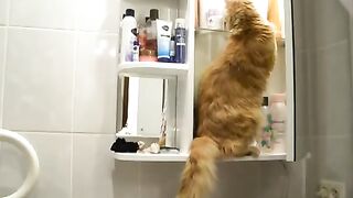 Кто роется в шкафу