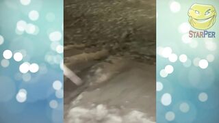 Лучшие приколы 2022 Февраль \ Best COUB \ Тест на психику \ Подборка № 23