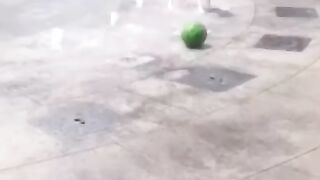 Собака крутит сальто