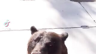 Когда ГАИ уже не то