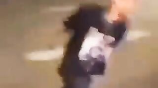 Best Funny Videos - Try to Not Laugh ????????????