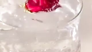Beautiful flowers 3