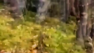 Дышащая земля. Впечатляющее и пугающее зрелище.