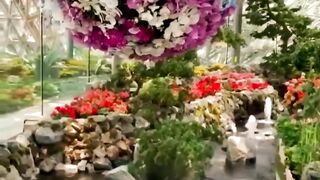 Сингапурские оранжереи.