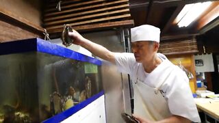 GIANT ABALONE