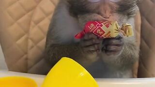 Ой какое чудо - расчудесная!!!