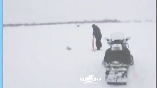 В Коми оленя вытащили из заснеженного болота