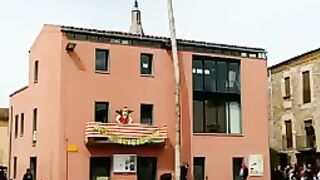 Падение дерева