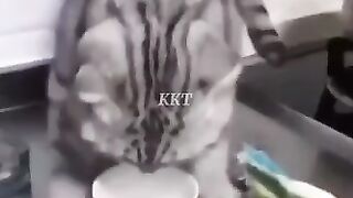 Едреный перчик
