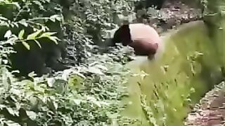 Кунг-фу панда))