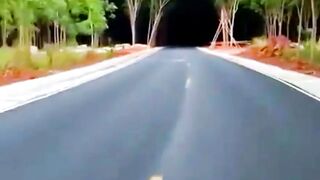 Сураттхани , Таиланд.
