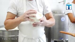 Как Делают Сыр в Промышленных Масштабах. Шокирующие технологии!