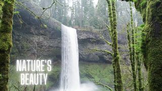 "Capturing Nature's Aesthetic Beauty Through the Lens"