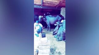 26 Funny Moments Of Pakistani People Caught On Camera