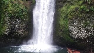 nature video|#shorts#videoviralkaisekare2022#viralshorts2023