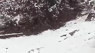 Snow falling