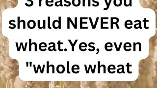 3 Reasons to Avoid Wheat For Proper Diet