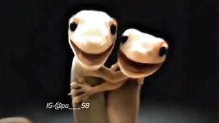 Real love story ever