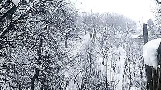 Snow in kashmir