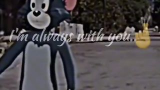 cat feelings