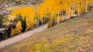 Beautiful view of nature 74