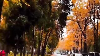 Beautiful view of nature 78