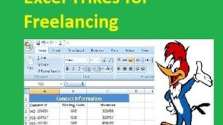 Excel Trikes for Freelancing
