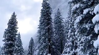 Beautiful view of nature 81