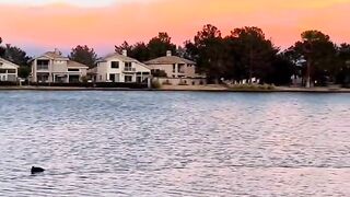 Beautiful view of nature 91