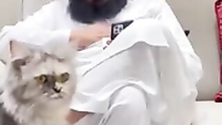 pet birds for home