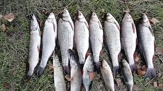 Most Amazing Short Video.ھھھھھھھ