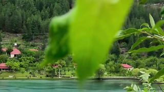 Beautiful view of nature 95