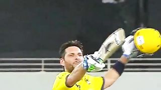 Cricket love