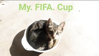 My. FIFA. Cup. 2022 Qatar