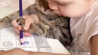 Hey don't disturb us