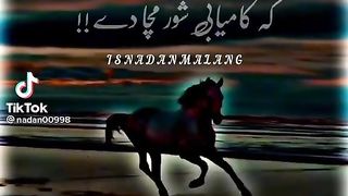 Good video