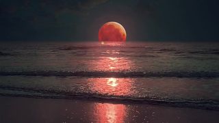 Beautiful view of nature 98
