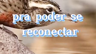 Mensagens lindas para seu dia,se escreva no canal