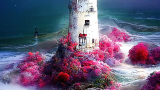 Beautiful view of nature 122