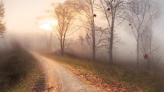 Beautiful view of nature 139
