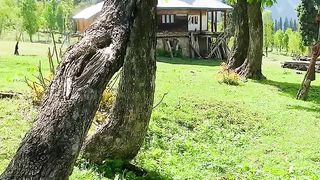 Beautiful view of nature 141