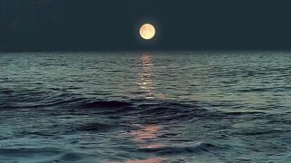 Beautiful view of nature 148