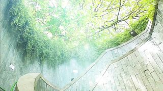 Beautiful view of nature 164