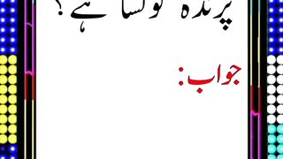 #National#info#gk#islamic knoweledge#quiz#islamic solve commence.