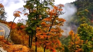 Beautiful view of nature 167