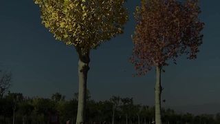Beautiful view of nature 169