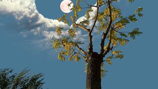 Beautiful view of nature 170