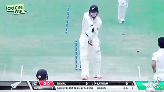 HASSAN ALI CRICKET WICKET CELEBRATITION