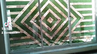 PROWALL #ARTIFICAL GRASS #HOUSE